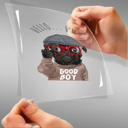 Hello I'm Good Boy A4...