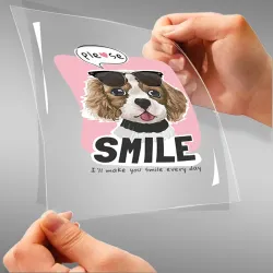 Please Smile I'LL Make You...