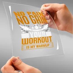No Pain No Gain Your...