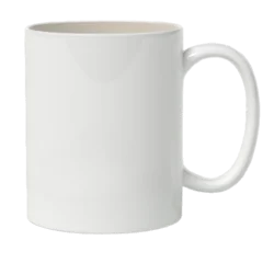 Professional Mug