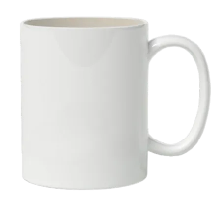 Professional Mug