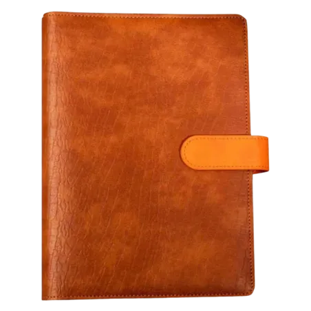 Spark Diary