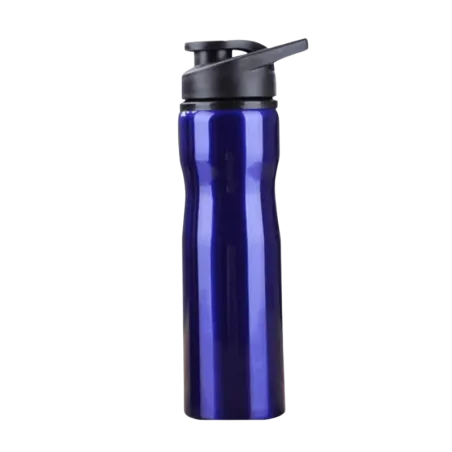 High Grade Stainless Steel Bottle (Blue)