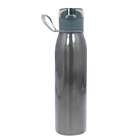 Stainless Steel Bottle With Handle (Grey)