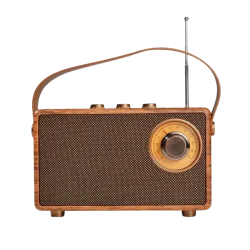 Wireless wooden FM radio