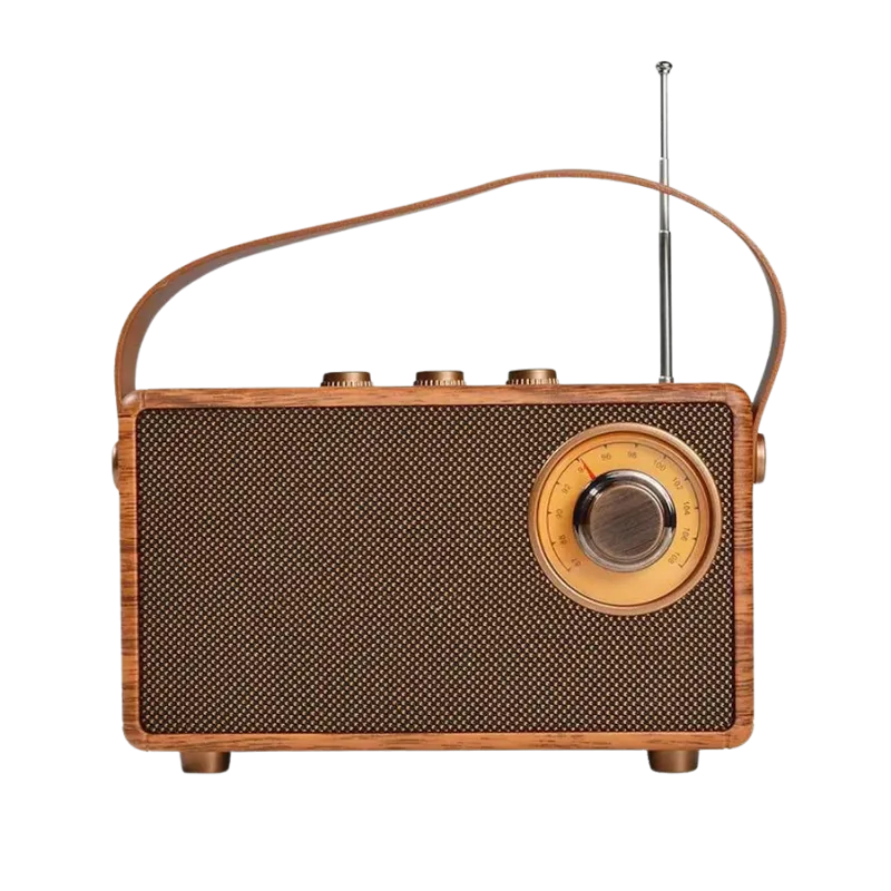Wireless wooden FM radio