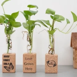 Set Of 3 Cork Magnetic Test...