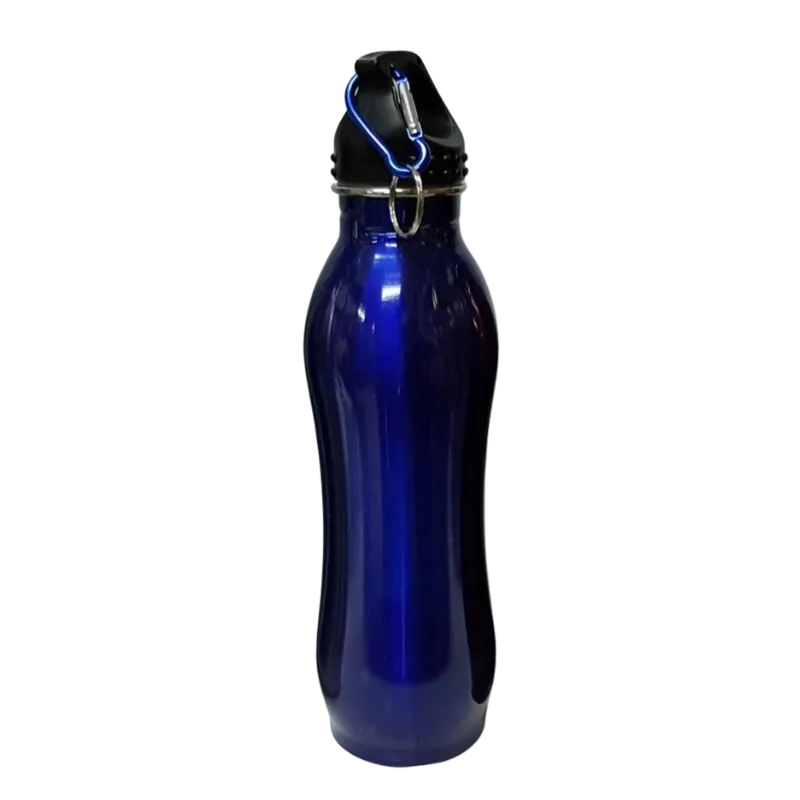 Stainless Steel Sports Water Bottle(Blue)