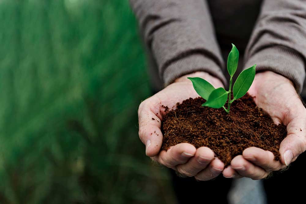 Environment & Sustainability