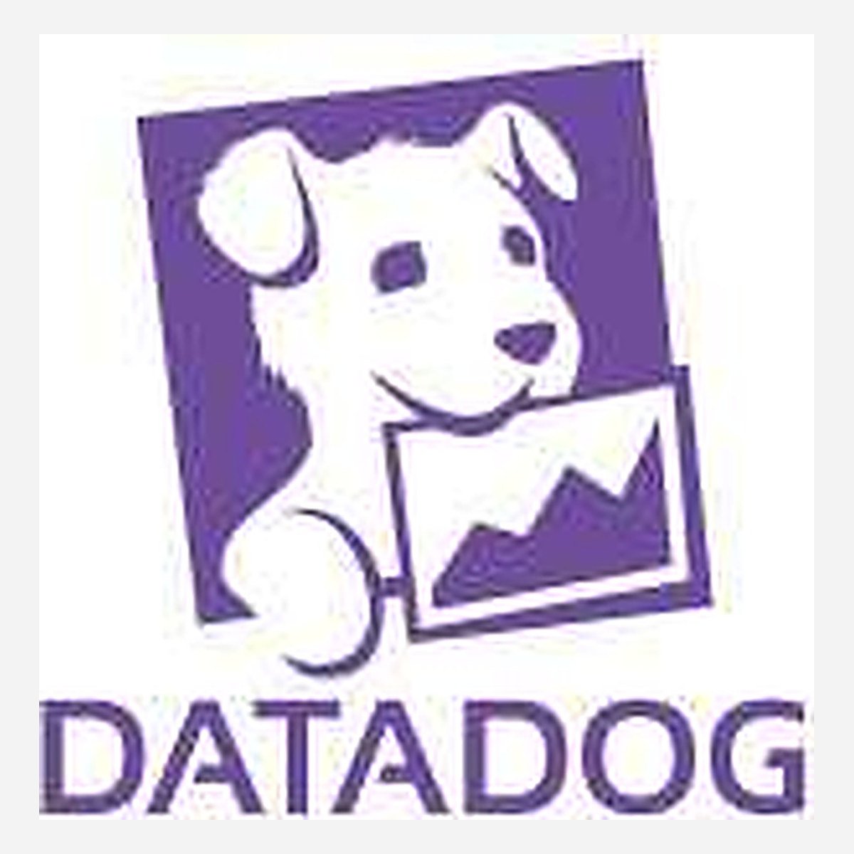 From Start to Finish: Completing a Datadog Order within 24 Hours