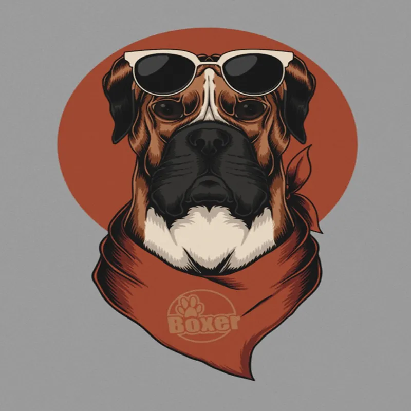 Boxer A4 StickZing