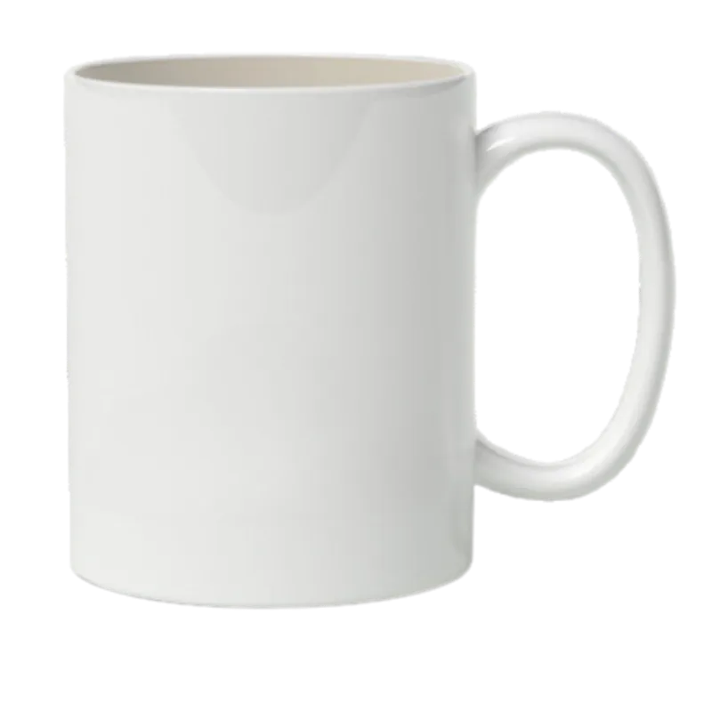 Professional Mug
