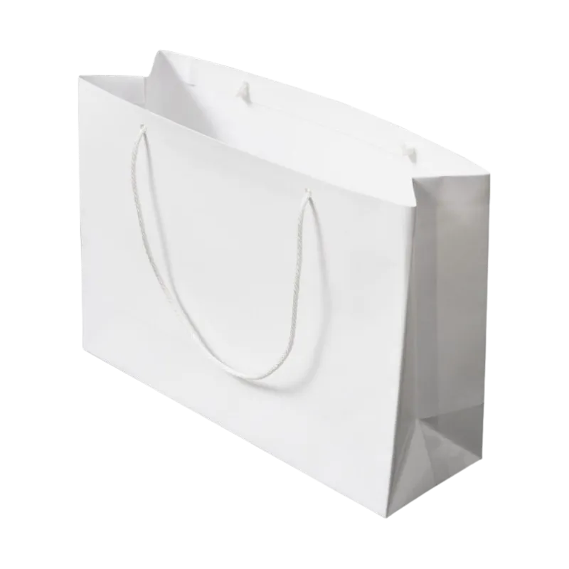 Customized Paper bag