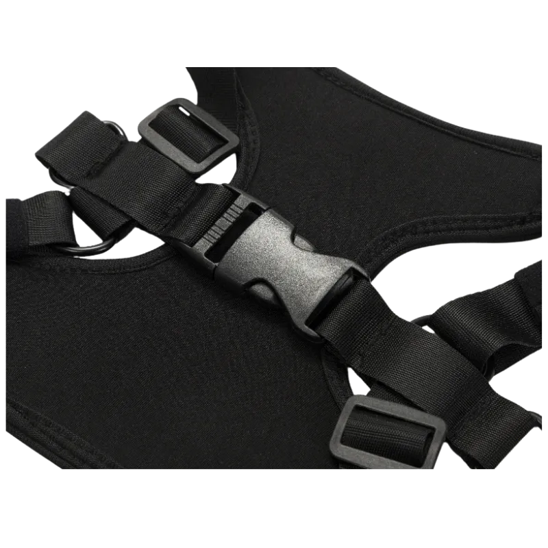 Customized Pet Harness