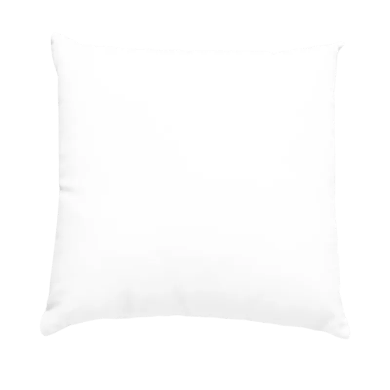 Think Wear Pillow