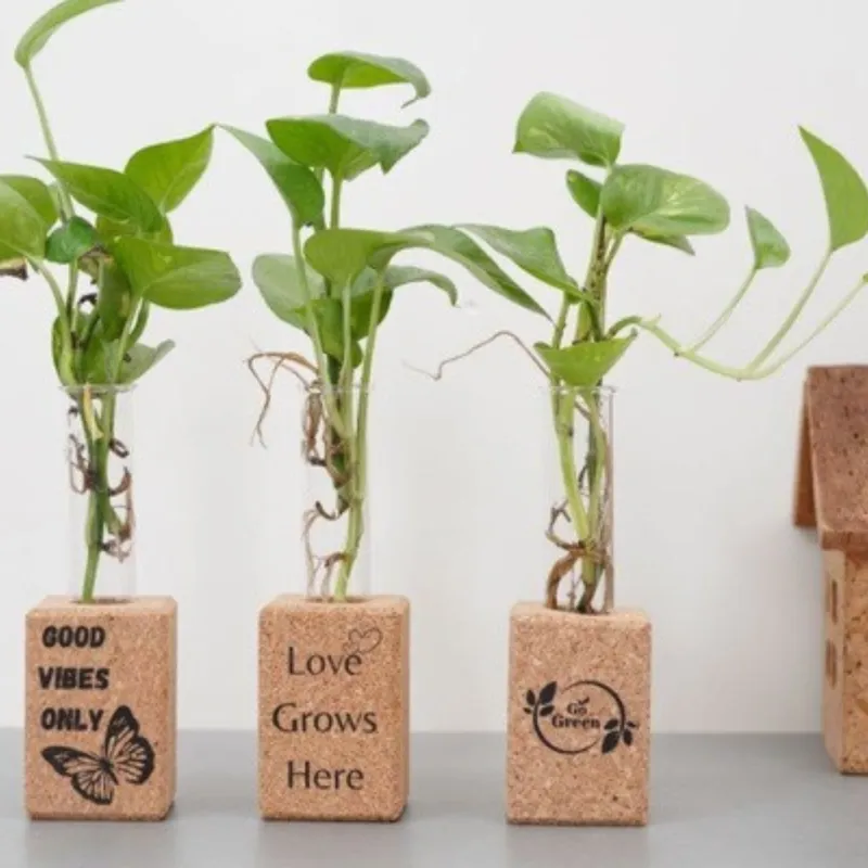 Set Of 3 Cork Magnetic Test Tube Planters