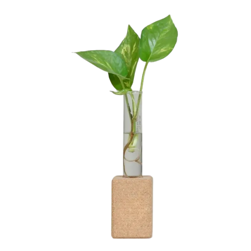 EcoSync Desk Set