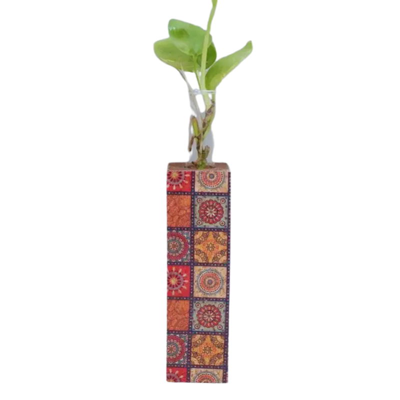 Serene Cork Essence Set