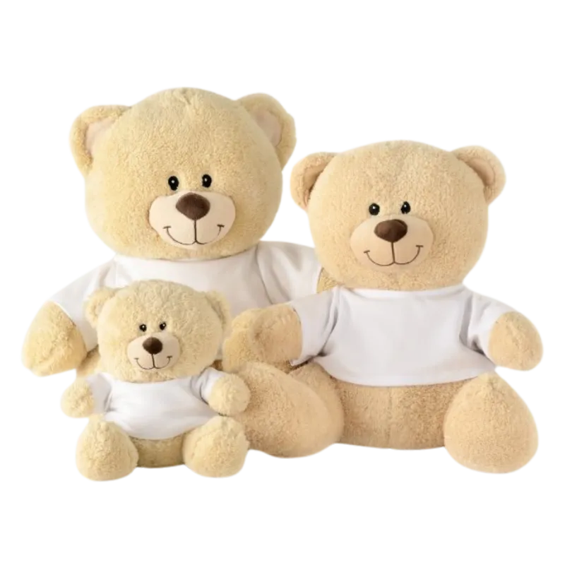Customized Teddy Doll
